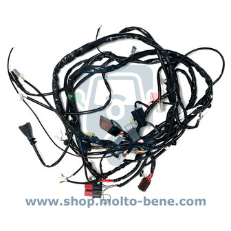 MB2910 Kabelboom Piaggio Ape 50 EURO 4 1D002518 Kabelbaum Wiring harness Faisceau de c&acirc;bles ZAPC81