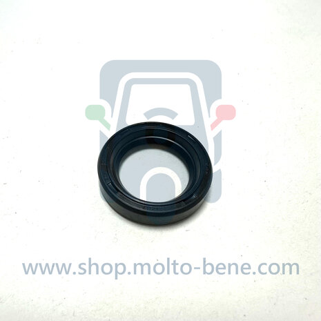 MB1398 Keerring aandrijfas Piaggio Ape TM MP P Seal drive shaft Dichtung Antriebswelle Joint d'arbre de transmission 6C0