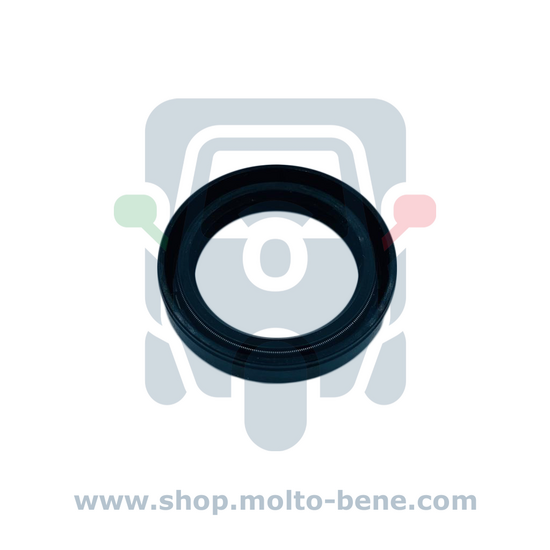 MB1080 Keerring Differentieel Aandrijfas Piaggio Ape Vespa 50 046699 Oil seal differential drive shaft &Ouml;ldichtung Differ
