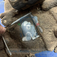 Bloc moteur complet Piaggio Ape 50 TL2M