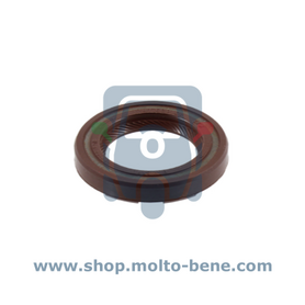 Keerring Krukas (vliegwielzijde) Piaggio Ape TM CAR P MP