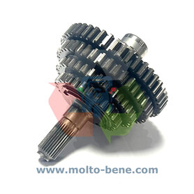 GEBRUIKT: Versnelling versnellingsbak Piaggio Ape MP