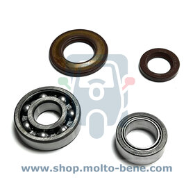 Krukas Revisie set Piaggio Ape TM - P -  CAR