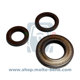 Set Keerringen Krukas Piaggio Ape P501 Prima Serie