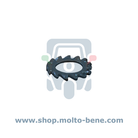 Kartelring Vliegwiel Piaggio Ape Vespa 50