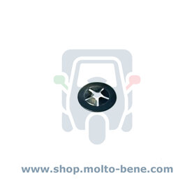 Borgring Pin hoofdtandwiel differentieel Piaggio Ape 50