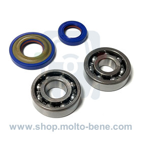 Krukas lagers en keerringen Polini Racing Ape Vespa 50 oud model (Conus 19mm)