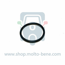 O-ring Voorvork swingarm 