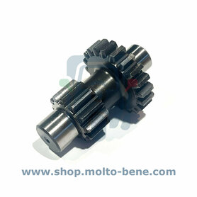 Achteruit tandwiel  Z12-20 Piaggio Ape CAR MP CIF